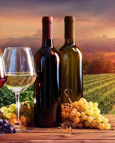 Routes mythiques des grands crus